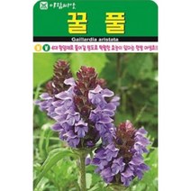 4대 항암제 꿀풀 씨앗(1000립)(A0688)