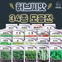 허브씨앗 모음 허브씨 바질 로즈마리 라벤더 딜 레몬밤 페퍼민트 캐모마일 타임 세이지, 6. 소렐 150립