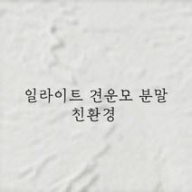 일라이트 견운모 가루 분말 친환경 건축재료 벽미장 일라이트 견운모 시공 시멘트대용 몰탈 친환경바인더