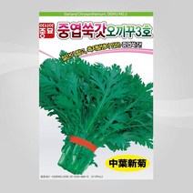 슬로시 쑥갓씨앗 중엽쑥갓오끼꾸3호6g 씨앗 아시아, 중엽쑥갓오끼꾸3호6g(아시아)