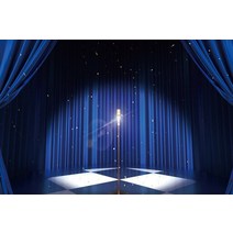 Laeacco레드 커튼 무대 조명 서커스 텐트 아기 생일 파티 사진 배경 포토존 스튜디오, Thin Cloth 270x180cm+NLX00844