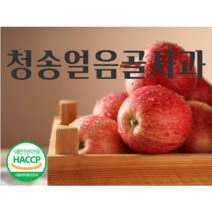 청송얼음골농원 고당도 꿀맛 꿀사과 경북 청송 사과 5kg(21과~22과), 21과~22과