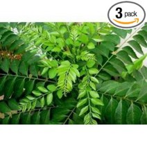 Fresh Curry Leaves 1 Oz. (Pack of 3)