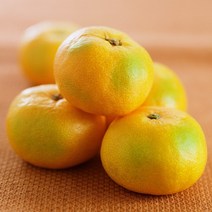 고당도 감귤 새코미 특대과 노지 5kg, 1개, 상세페이지 참조