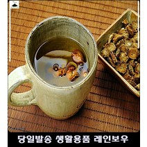 우엉차 50G 신장기능 향상 배변 활동 끓여먹는 차 커피차음료 티백 분말 기타차류 직장인차류