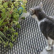 침입방지 야생동물 퇴치망 12p 비둘기퇴치 스파이크, 상세페이지 참조