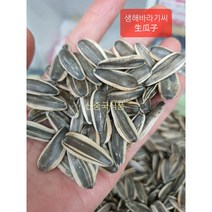 [신중국식품] 중국수입 생해바라기씨 볶지않은 생해씨 sheng gua zi 썽꽈절, 5kg