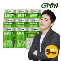 GNM자연의품격 징코 빌로바 11 (1박스당 1개월분) 은행잎추출물, 상세 설명 참조