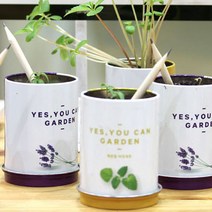 행복한 화원 방울토마토 해바라기 씨앗연필, 상품선택, 바질