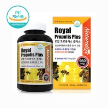 프로폴리스 캡슐 캐나다 프로폴리스 영양제 추천 대용량 온가족 식약처인정 식약청인증 항산화 로얄젤리 플라보노이드 대두레시틴, 프로폴리스 1개
