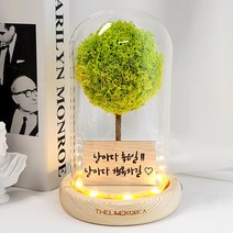 LED 메세지 각인 스칸디아모스 유리돔 무드등 거실 인테리어 조명 선물, 올리브_폰트1