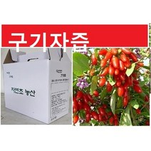 산수유즙 진액 45팩(120ml)/ 산수유 진한엑기스 자연그대로, (2형)구기자45팩
