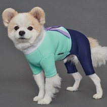 도그아이 강아지옷 강아지한복 네오플렌 한복, 한복올인원