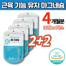 코스트코 퓨어 마그네슘 보충제 마그네슘정 임산부 출산후 수유부 성장기 어린이 청소년, 2+2박스