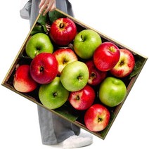 FASEN 보석 십자수 캔버스형 DIY 세트 40 cm X 50 cm, FSE31.청홍사과