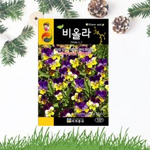 비올라씨앗 300립 삼색제비꽃 비올라 꽃씨앗