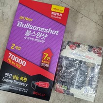 [불스원] 불스원샷70000 500ml 2개입, 휘발유