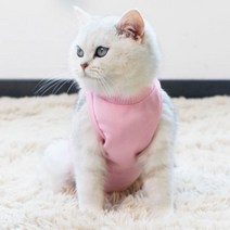 소프트 고양이 환묘복, 블루