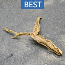 유목 대형 57.4cm 국산