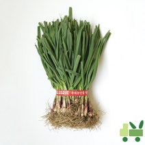 사라상회 풋마늘 (10단) 15kg, 1박스