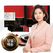 정성담은 수제 쌍화차 동의보감 그대로 100% 쌍화차 한방차 전통차 100ml, 30개