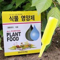 식물영양제 10P 화초 수목 난 화분 비료 앰플, 본상품