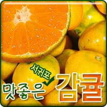 서귀포농원 첫수확 노지감귤 5kg 10 kg, 1개, 고당도 감귤 10kg소과(2S)