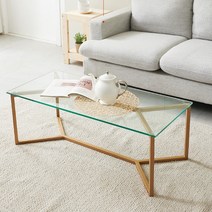 국내제작 이케아 강화유리상판 철제프레임 거실테이블 원룸 신혼 인테리어 티테이블 간이식탁, N152 블랙