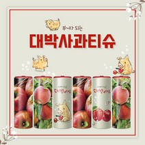 [슬림티슈] 대박사과 6P 휴대용 차량용 티슈 선물세트, 레드사과1 6P