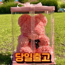 장미꽃 곰돌이 로즈 곰인형 장미 베어 인형 LED 기념일 꽃 플라워박스 기념일 선물상자 조화 고백 프로포즈 여친 선물 기념일 40cm 35cm, Large - 핑크