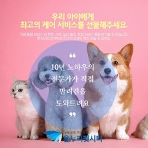 펫시터 방문펫시터 펫시터교육 펫시터알바 펫시터서비스 펫시터회사 펫시터업체 펫시터상담 펫시터추천, 1인기준