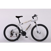 전기 산악자전거 MTB 광폭타이어 입문 출퇴근용 산악 자전거 한 바퀴 스포츠카 성인 학생용 오프로드 레이, 04 4_01 24inch