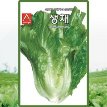 생채 상추 씨앗 생채 상추 씨 종자 1500립
