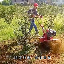 밭가는 기계 텃밭 관리기 밭갈이 로터리 전기 풀제거 흙갈이 농업용 경작기 밭관리기 농기구 신제품 식 사륜구동 마이크로 경운기, 가솔린 버전 - 표준