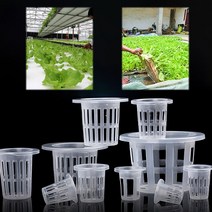 콩나물 키우기 온실 유리 수경재배 만들기 포도 봉지 샤인머스켓 고추 수박 받침대 배 복숭아 왕겨 볏단 끈걸이 과수 지지대 방울토마토30 pcs 식물 성장 바구니 그물 보육 컵, 40