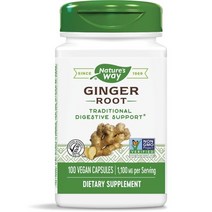 네이쳐스웨이 진저 루트 550mg 비건 캡슐, 100개입, 1개, 100정