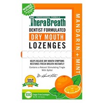 테라브레스 드라이 마우스 만다린 + 민트 무설탕 로젠지, 165g, 1개