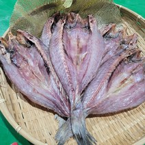 반건조 자연산민어 40cm5마리(선물셋트 강력추천)