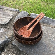 에꼬앙주 천연 코코넛 그릇 친환경 요거트 스무디 보울 커플 세트 (코코넛볼 2 스푼 2), 스푼 - 코코넛 우드, 1세트
