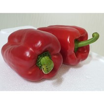 [특급] 홍피망 500g