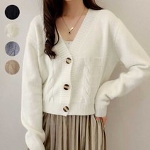 꽈배기 브이넥 여자 가디건 크롭 사무실 데일리 코디 레오파드 반짝이 교복 귀여운 홀가먼트 투웨이