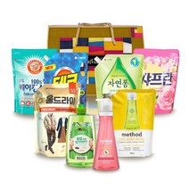 LG생활건강 집들이 홈케어세트 특B호, 1개