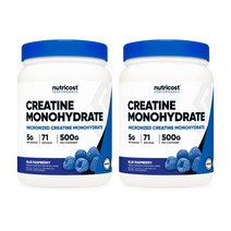 뉴트리코스트 모노 크레아틴 파우더 500g x 2개 블루베리맛