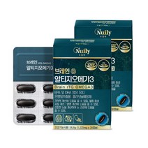 뉴일리 징코알티지오메가3 1200mg 2박스(60캡슐) 은행잎추출물, 2박스(60캡슐)x3