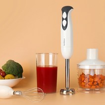 키친아트 루시아 핸드블렌더 KHB-S900