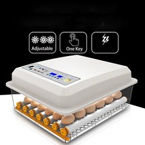 닭 사육 스마트 64pcs 완전 자동 인큐베이터 가정용 계란 육추기 농장 새 인큐베이터, 영국 플러그