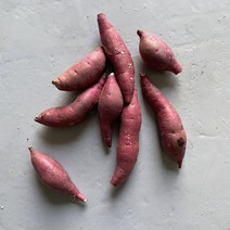 고구마 꿀고구마 베니하루카 아주 작은사이즈, 10kg( 작은한입)