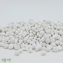 식물시간 하이포넥스 마감프K 대립 완효성 비료 알갱이 영양제, 200g, 1개