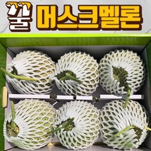 프리미엄 고당도 메론 머스크메론 8kg 4kg 멜론 부모님선물 머스크멜론, 머스크멜론5-6수(8kg내외)