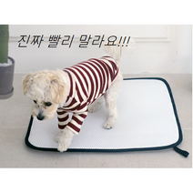 오놀라 반려동물 3D매쉬 씻어쓰고 빨아쓰는 친환경 제로웨이스트 강아지 배변패드